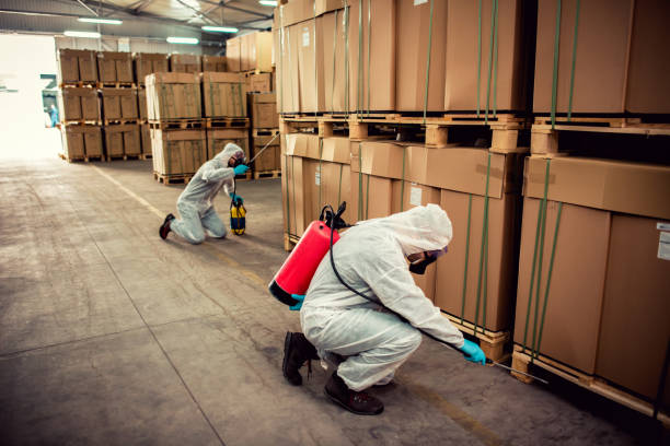 Professional Pest Control in Fruitville, FL