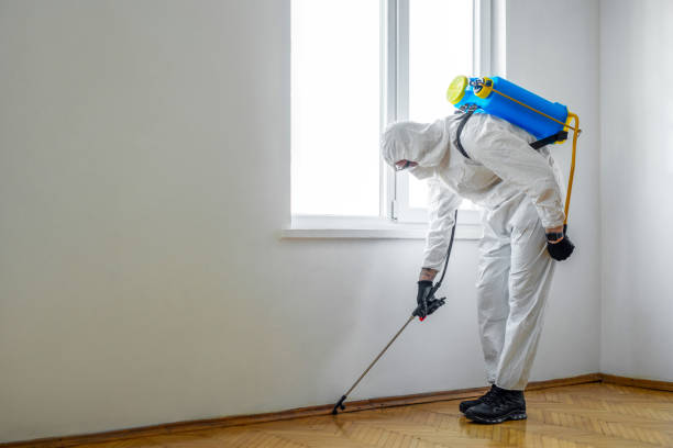 Best Local Pest Control Services  in Fruitville, FL