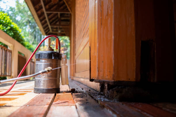 Best Best Pest Control Companies  in Fruitville, FL