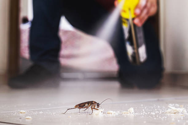 Best Pest Inspection Near Me  in Fruitville, FL